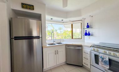 Condo Brisa Las Palmas II