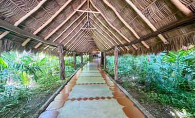 Condo Brisa Las Palmas II