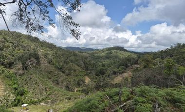 SE VENDE FINCA EN CONCEPCION ANTIOQUIA