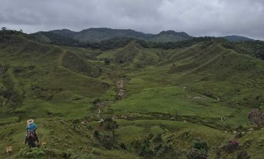SE VENDE FINCA EN CONCEPCION ANTIOQUIA