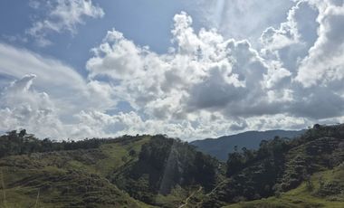 SE VENDE FINCA EN CONCEPCION ANTIOQUIA