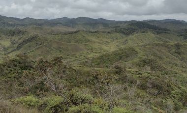 SE VENDE FINCA EN CONCEPCION ANTIOQUIA