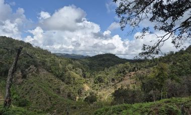 SE VENDE FINCA EN CONCEPCION ANTIOQUIA