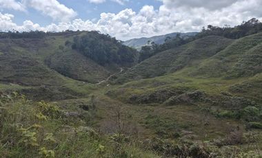 SE VENDE FINCA EN CONCEPCION ANTIOQUIA