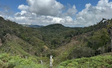 SE VENDE FINCA EN CONCEPCION ANTIOQUIA