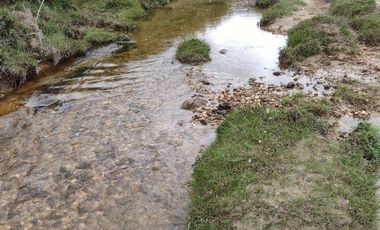 SE VENDE FINCA EN CONCEPCION ANTIOQUIA