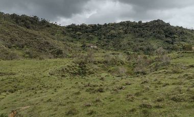 SE VENDE FINCA EN CONCEPCION ANTIOQUIA