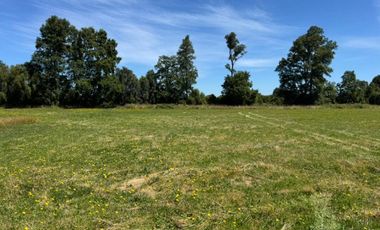 PARCELA A 14 KM DE OSORNO, CAMINO PUYEHUE