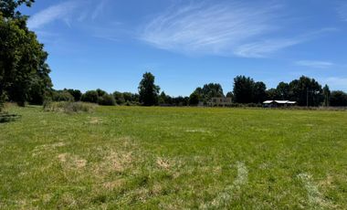 PARCELA A 14 KM DE OSORNO, CAMINO PUYEHUE
