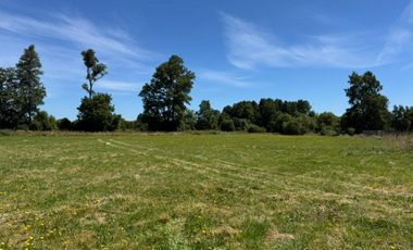 PARCELA A 14 KM DE OSORNO, CAMINO PUYEHUE