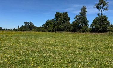 PARCELA A 14 KM DE OSORNO, CAMINO PUYEHUE
