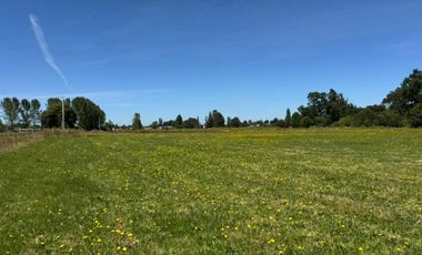 PARCELA A 14 KM DE OSORNO, CAMINO PUYEHUE