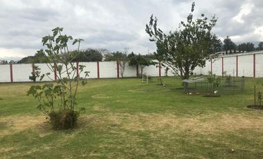 VENDO HERMOSA QUINTA EN TUMBACO