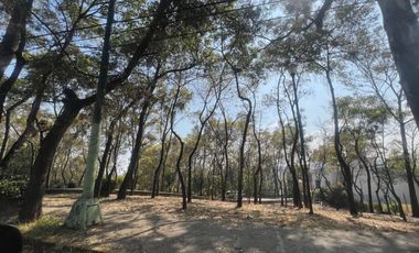 CASA VENTA LOMAS DE TARANGO ALVARO OBREGON