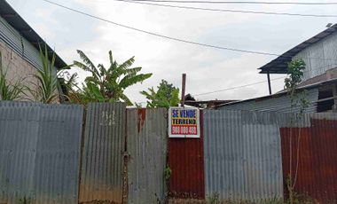 Lote urbano con arboles frutales