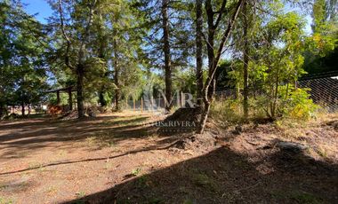 Cabaña Familiar en Arriendo en Sector Molco Alto, Villarrica - Pucón