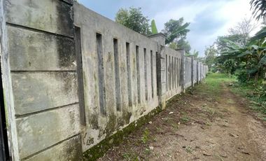 Dijual Murah Rumah Villa dan Kebun di Pedesaan Bojong Purwakarta