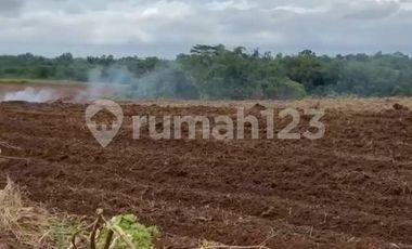 Tanah Dengan Pemandangan Asri Sejuk dan Nyaman di Maja Tangerang
