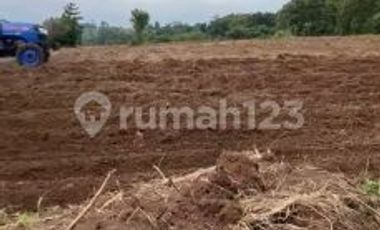Tanah Dengan Pemandangan Asri Sejuk dan Nyaman di Maja Tangerang