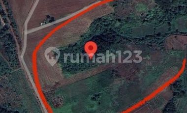 Tanah Dengan Pemandangan Asri Sejuk dan Nyaman di Maja Tangerang