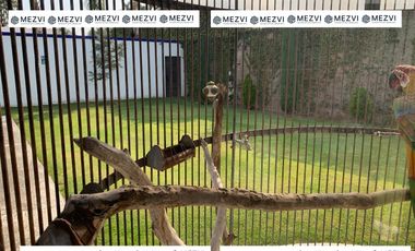 RENTA CASA AMPLIA EN 2 NIVELES, 5 RECAMARAS JARDIN, ALBERCA, LA CARCAÑA CERCA DEL C.C. EXPLANADA, SAN PEDRO CHOLULA