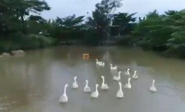 SHM! Dijual Tanah 6 Hektar Pilihan Tepat untuk Investasi Potensi untuk pengembangan pertanian, wisata,Akses jalan sudah dibuat  Tersedia jaringan list