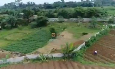 SHM! Dijual Tanah 6 Hektar Pilihan Tepat untuk Investasi Potensi untuk pengembangan pertanian, wisata,Akses jalan sudah dibuat  Tersedia jaringan list