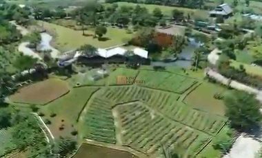 SHM! Dijual Tanah 6 Hektar Pilihan Tepat untuk Investasi Potensi untuk pengembangan pertanian, wisata,Akses jalan sudah dibuat  Tersedia jaringan list