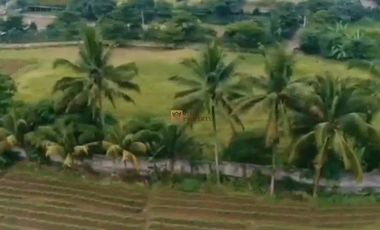 SHM! Dijual Tanah 6 Hektar Pilihan Tepat untuk Investasi Potensi untuk pengembangan pertanian, wisata,Akses jalan sudah dibuat  Tersedia jaringan list