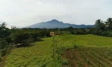 SHM! Dijual Tanah 6 Hektar Pilihan Tepat untuk Investasi Potensi untuk pengembangan pertanian, wisata,Akses jalan sudah dibuat  Tersedia jaringan list