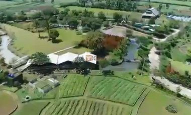 SHM! Dijual Tanah 6 Hektar Pilihan Tepat untuk Investasi Potensi untuk pengembangan pertanian, wisata,Akses jalan sudah dibuat  Tersedia jaringan list