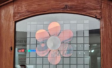 LOCAL EN CENTRO COMERCIAL DOS PROVIDENCIAS, SALIDA METRO LOS LEONES