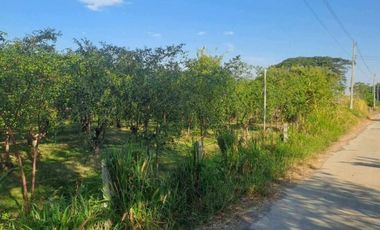 ขายบ้านเดี่ยวพร้อมที่ดิน เนื้อที่ 7 ไร่ ลำปลายมาศ บุรีรัมย์