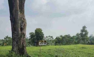 Tanah dijual di Tatar Mayangsunda, Kota Baru Parahyangan, Cipeundeuy, Bandung Barat, Jawa Barat