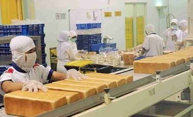 PABRIK ROTI SIAP PAKAI LOKASI NOL JALAN KABUPATEN NGANJUK