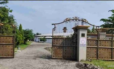 PABRIK ROTI SIAP PAKAI LOKASI NOL JALAN KABUPATEN NGANJUK