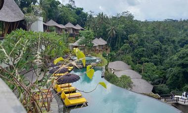 A Super Luxury 5-Star Hotel and Villa With Mountain Views in Ubud - Bali Is Seeking New Investors to Take Over Ownership