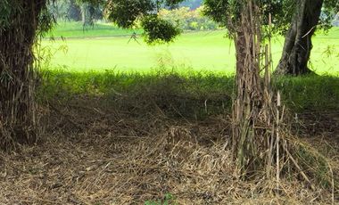 Tanah Dijual View Lap Golf - Sentul Bogor - IMB Ready Siap Langsung Bangun