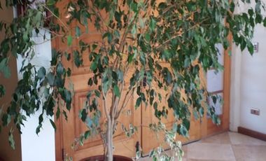 Se Arrienda Parcela Con Casa En Brisas Del Raco, Pirque