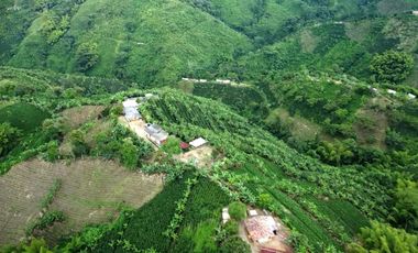 SE VENDE FINCA CAFETERA EN SANTA ROSA DE CABAL