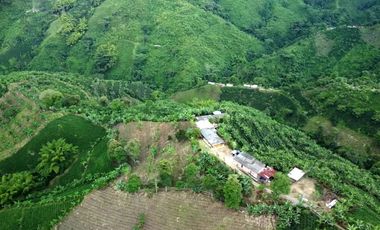 SE VENDE FINCA CAFETERA EN SANTA ROSA DE CABAL