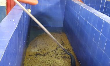 SE VENDE FINCA CAFETERA EN SANTA ROSA DE CABAL