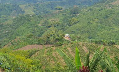 SE VENDE FINCA CAFETERA EN SANTA ROSA DE CABAL