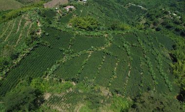 SE VENDE FINCA CAFETERA EN SANTA ROSA DE CABAL