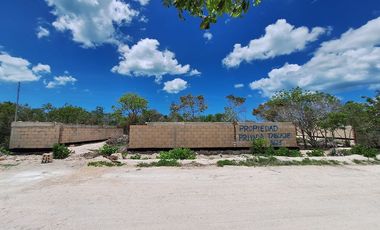 Terreno frente al mar en venta en Mérida, Yucatán