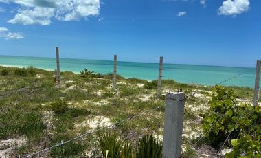 Terreno frente al mar en venta en Mérida, Yucatán