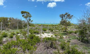 Terreno frente al mar en venta en Mérida, Yucatán
