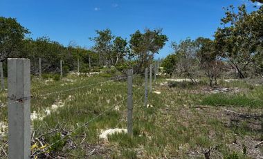 Terreno frente al mar en venta en Mérida, Yucatán