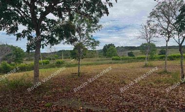 VENDO TERRENOS LOTIZACION PRIVADA EN MANGLARALTO