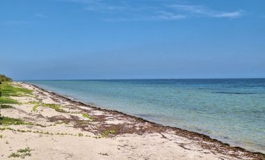 Departamento en venta frente al mar en Mérida, Yucatán